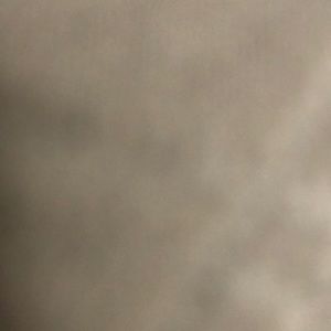 Meet your Posher, Arlene